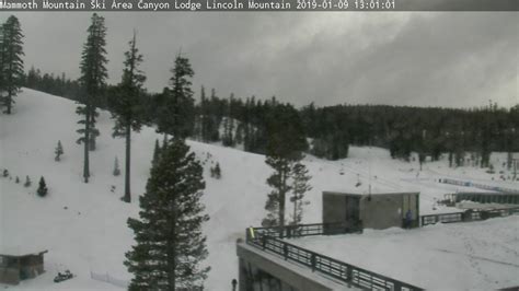 Live Mammoth Webcams